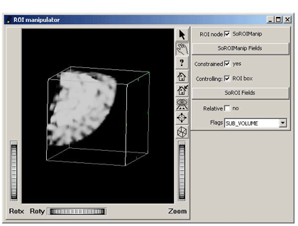 Use of DialogViz within a VolumeViz demo