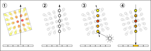 The four basic steps of volume ray casting: 1. Ray Casting 2. Sampling 3. Shading 4. Compositing.