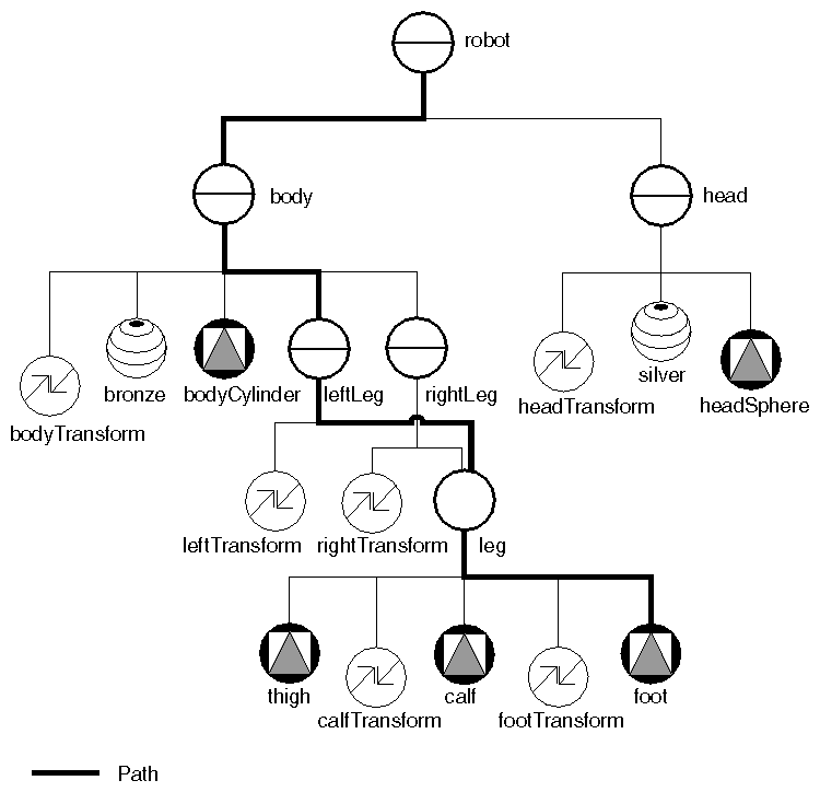 Path Representing the Left Foot