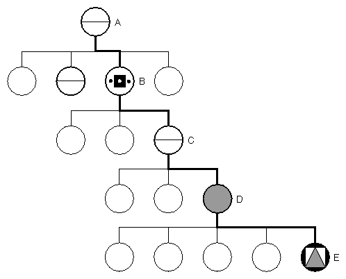 Highlight Path