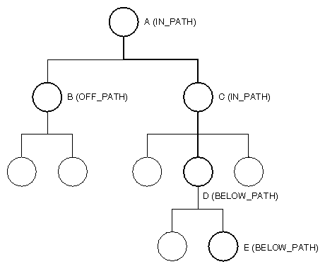 Using the Path Code for Groups