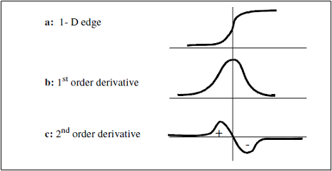 Figure 4: 1-D function and its derivatives