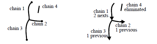 Figure 1: Chains representation