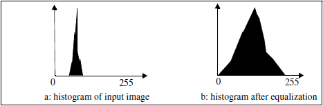 SoHistogramEqualizationProcessing_image01.png