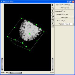VolViz_RoiManip.jpg