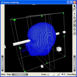 VolViz_Trace2.jpg