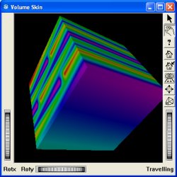 VolViz_VolSkin.jpg