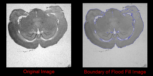 Flood fill Segmentation