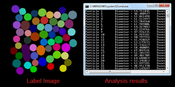 Label Analysis