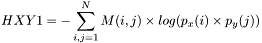 \[HXY1=-\sum_{i,j=1}^{N}M(i,j)\times log(p_x(i)\times p_y(j))\]