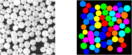 Figure 1: Grayscale and label input image