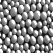Input image and, in white, its merged maxima (factor 60)