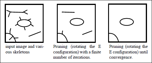 Pruning