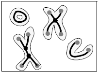 Skeleton, end-points, and triple-points