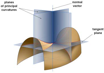 Curvature 3D: saddle point example (image: Eric Gaba)