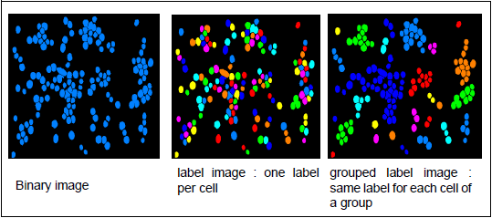 Label grouping on a binary image